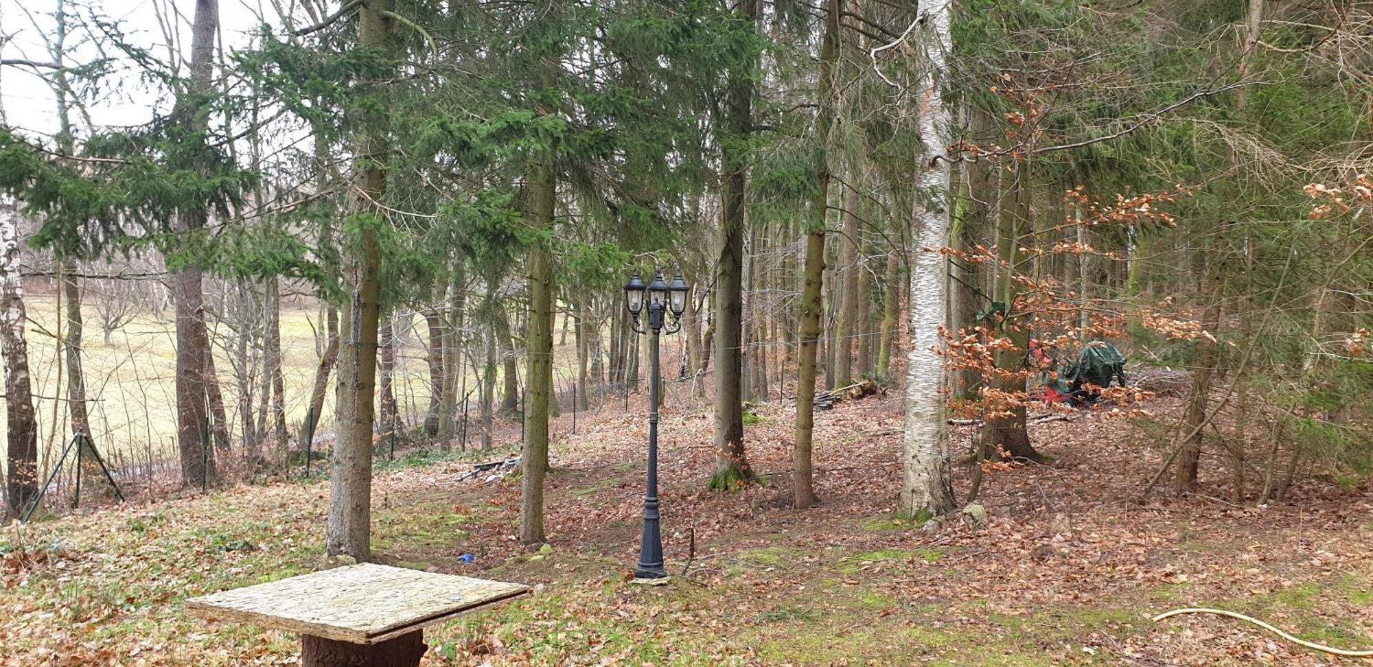 Vila Waldhaus Hempe Tabarz Exteriér fotografie
