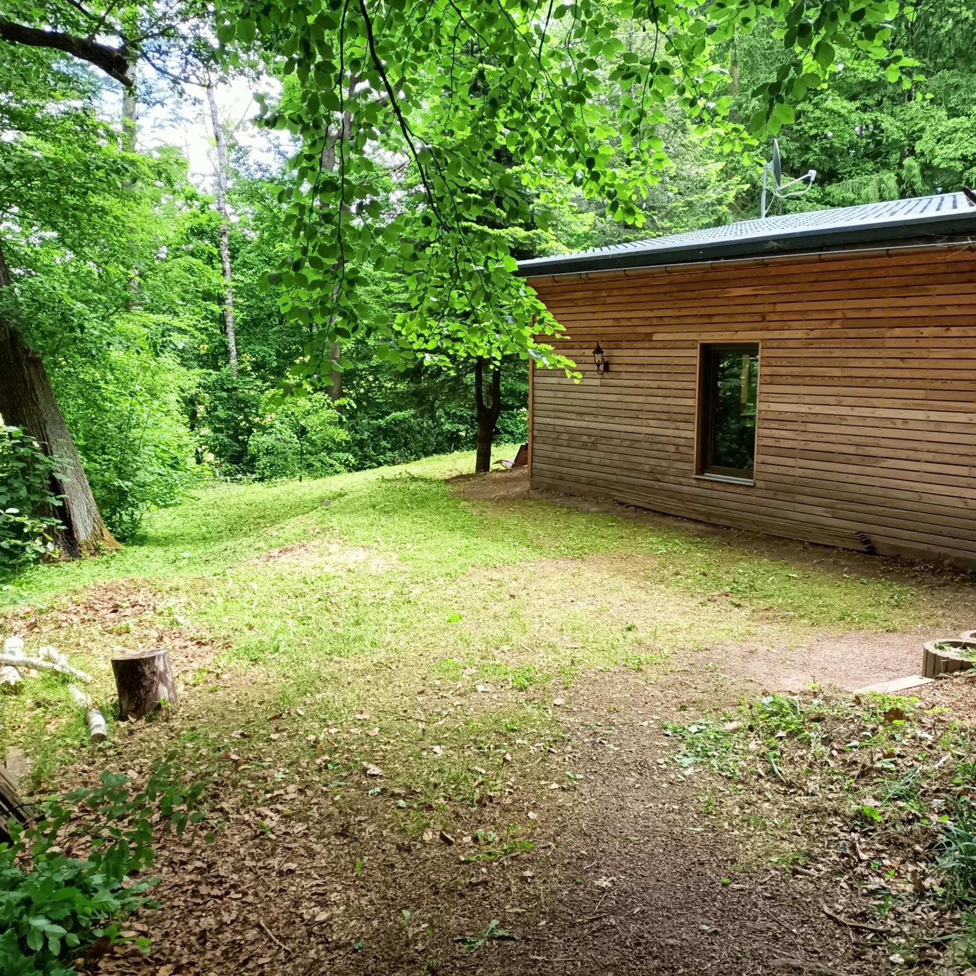Vila Waldhaus Hempe Tabarz Exteriér fotografie